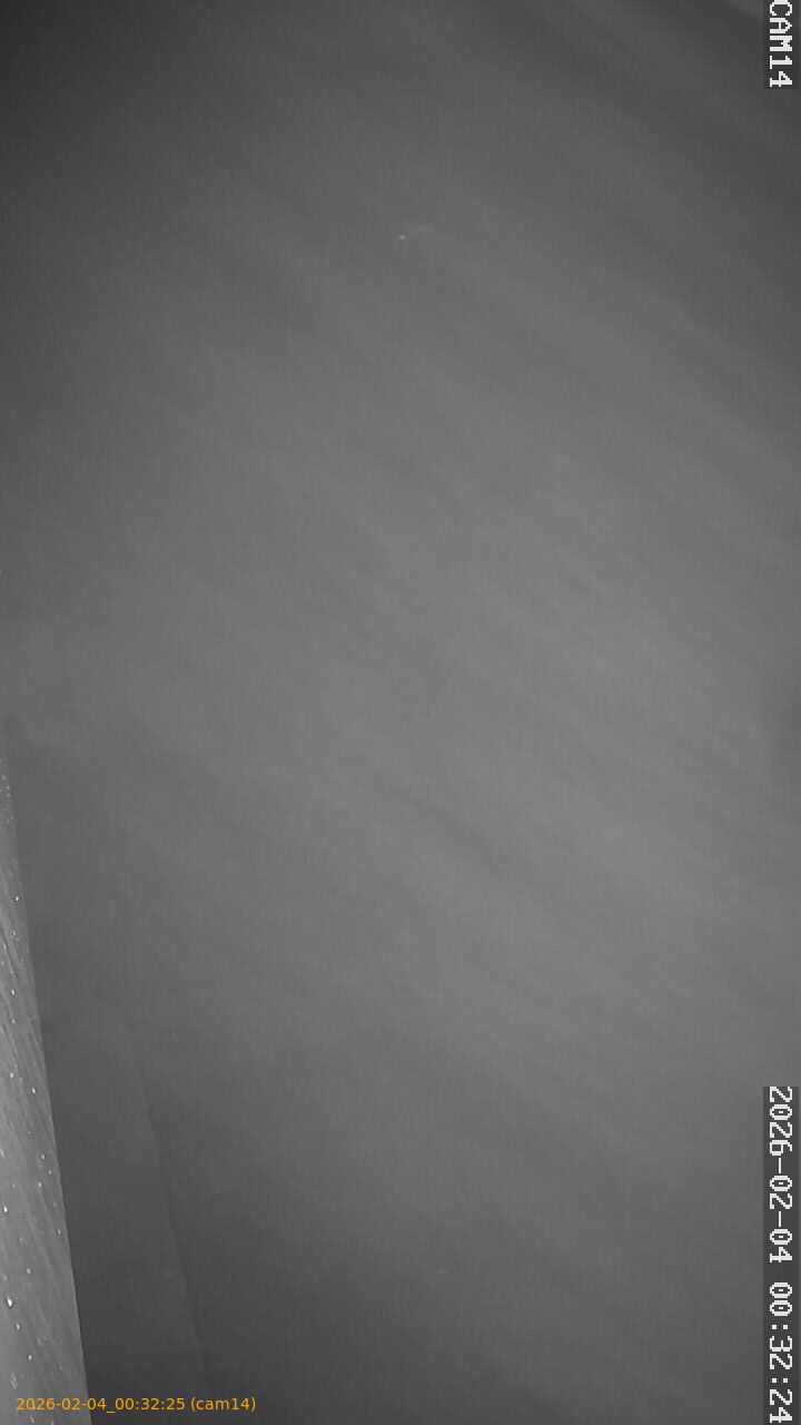 thumbnail_20260204003225