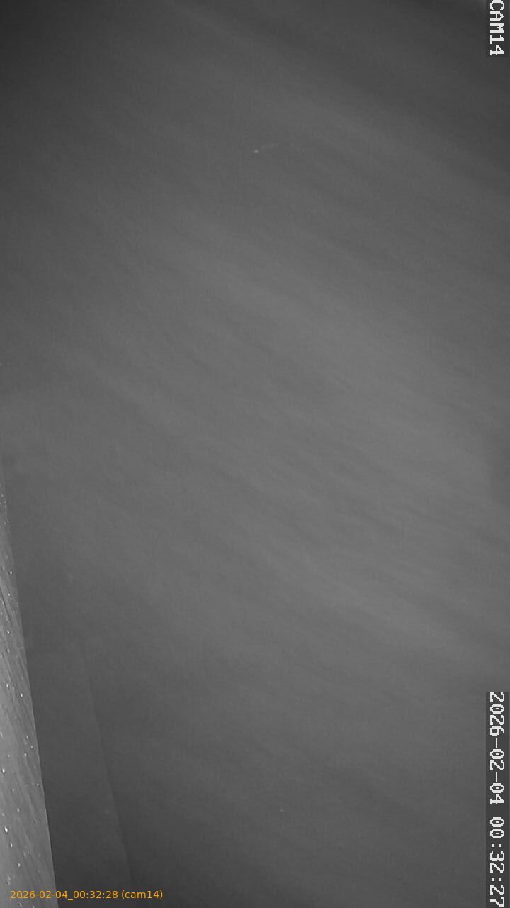 thumbnail_20260204003228