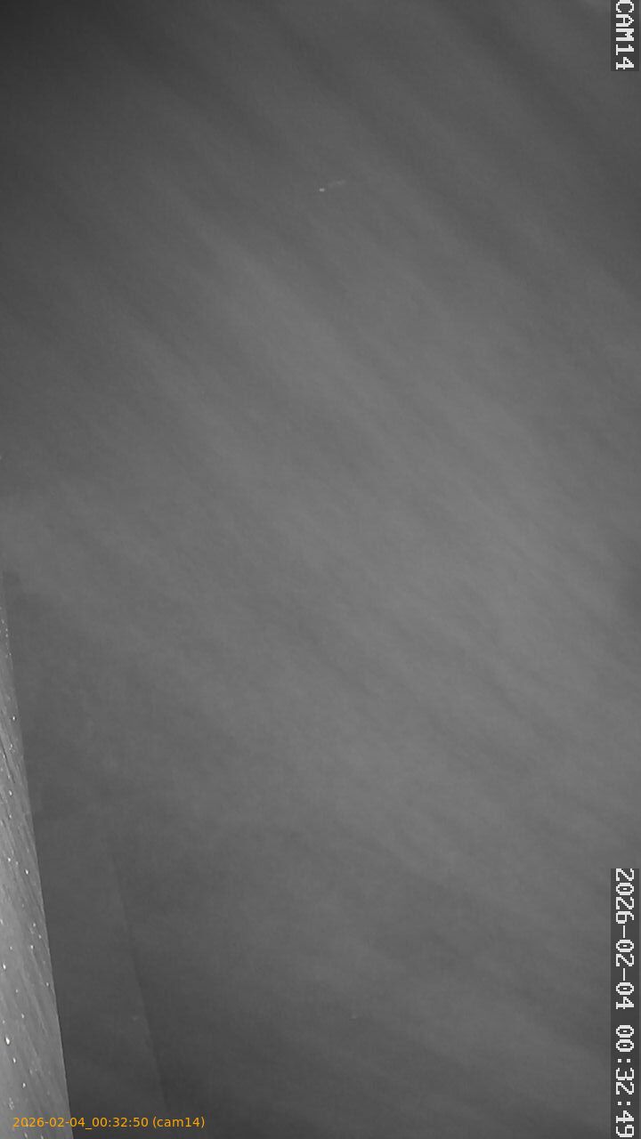 thumbnail_20260204003250