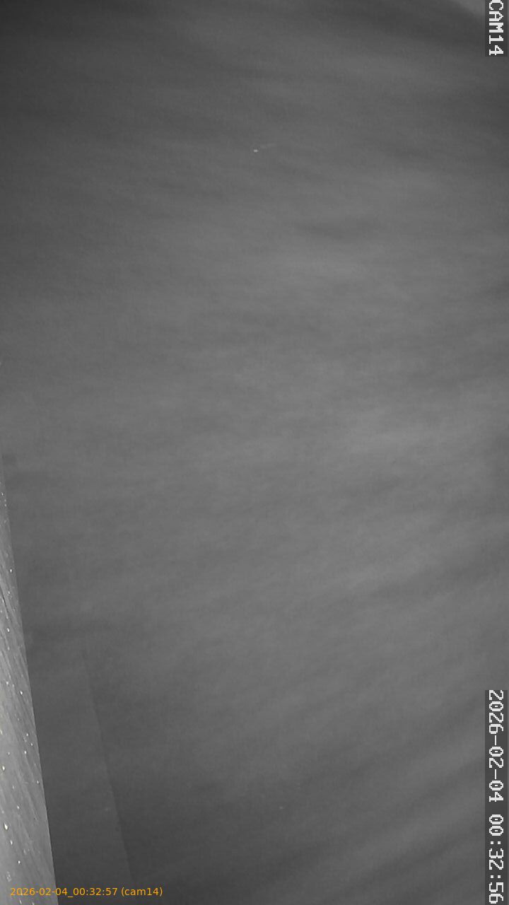 thumbnail_20260204003257