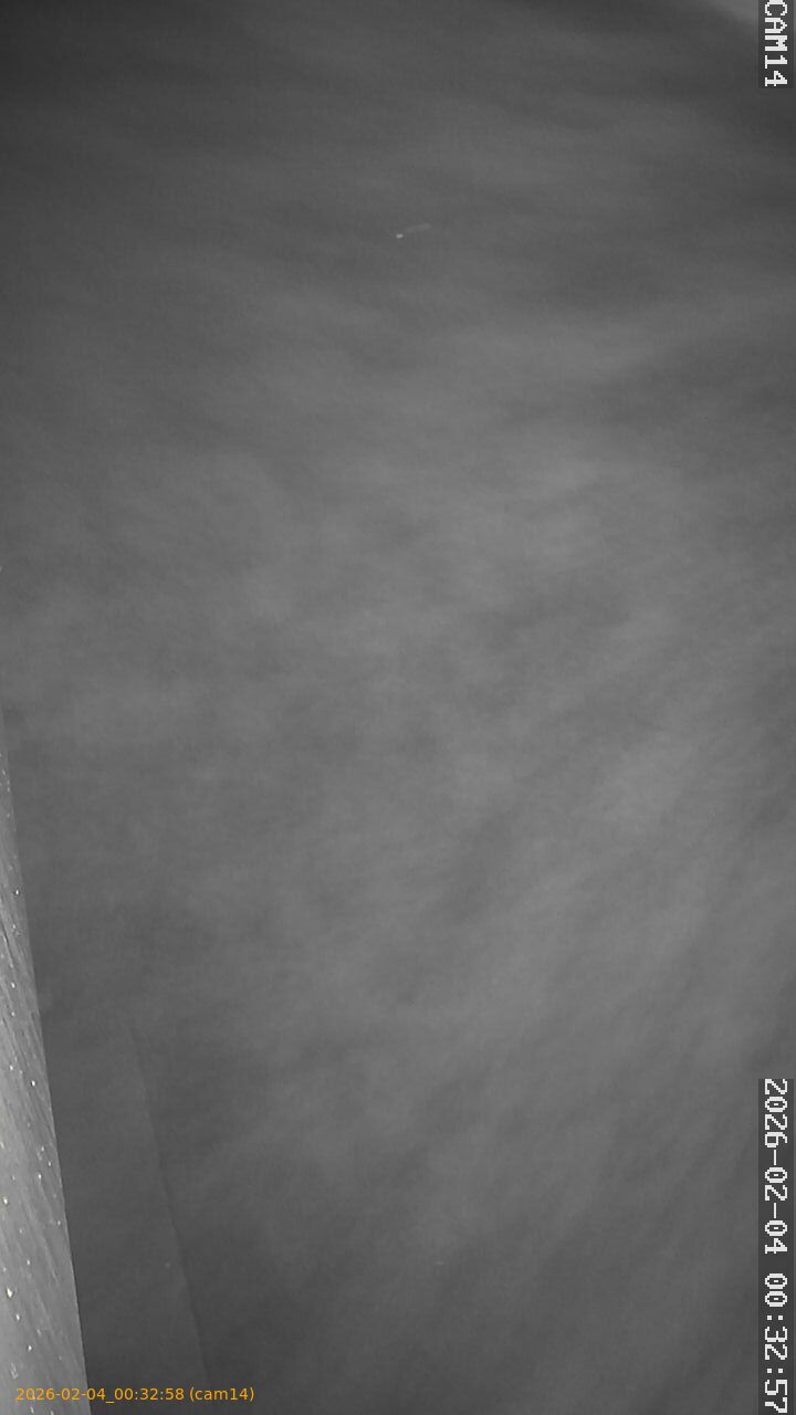 thumbnail_20260204003258