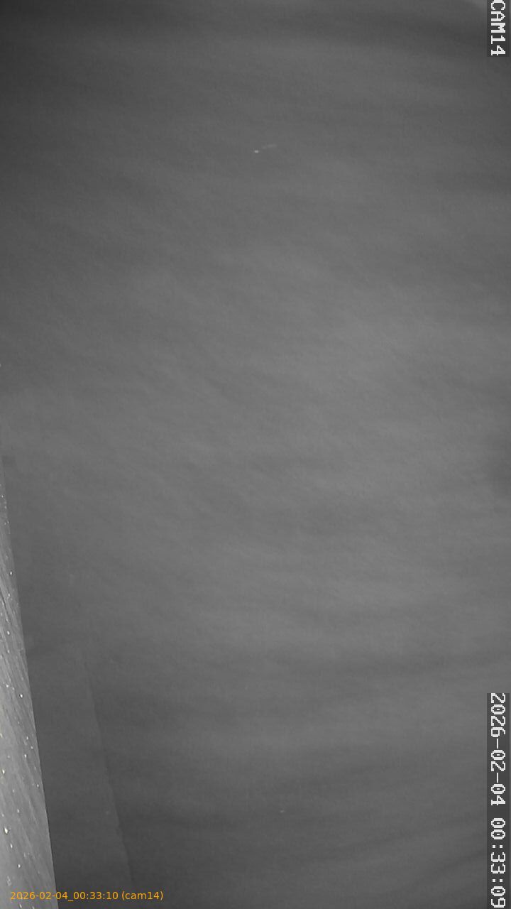 thumbnail_20260204003310