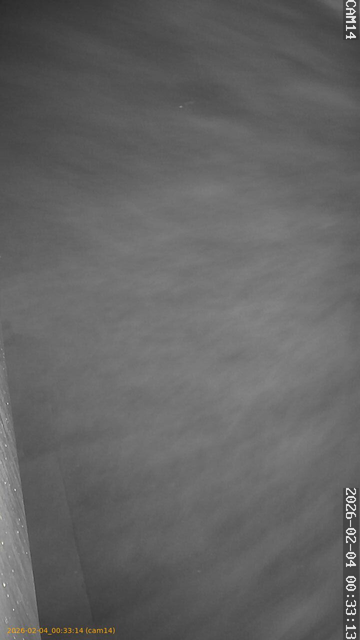 thumbnail_20260204003314