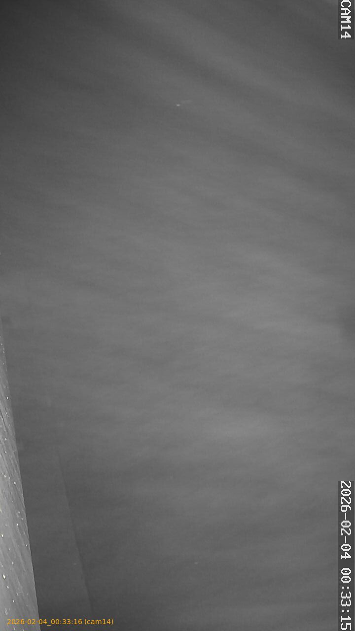 thumbnail_20260204003316