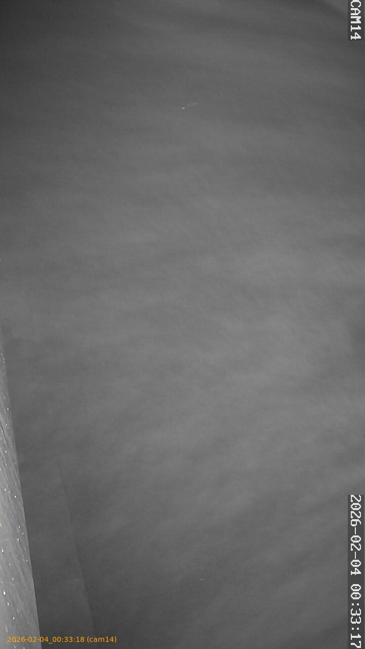 thumbnail_20260204003318