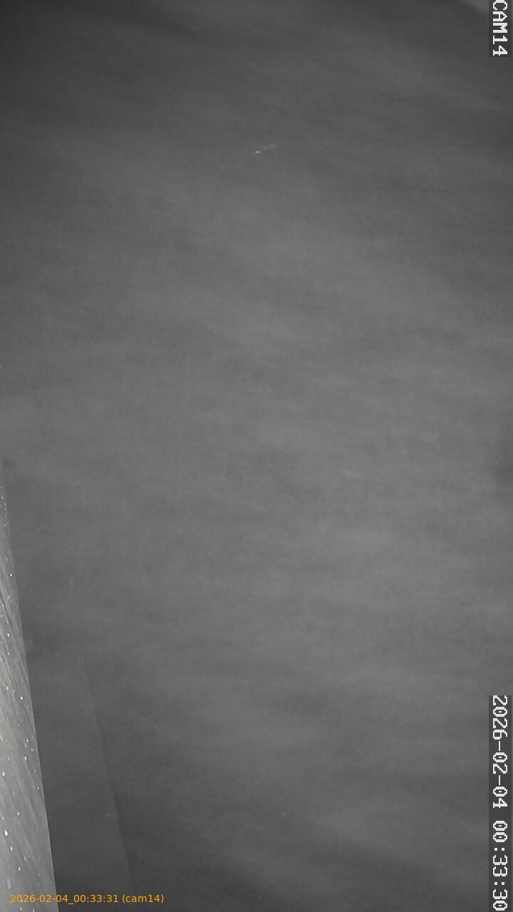 thumbnail_20260204003331