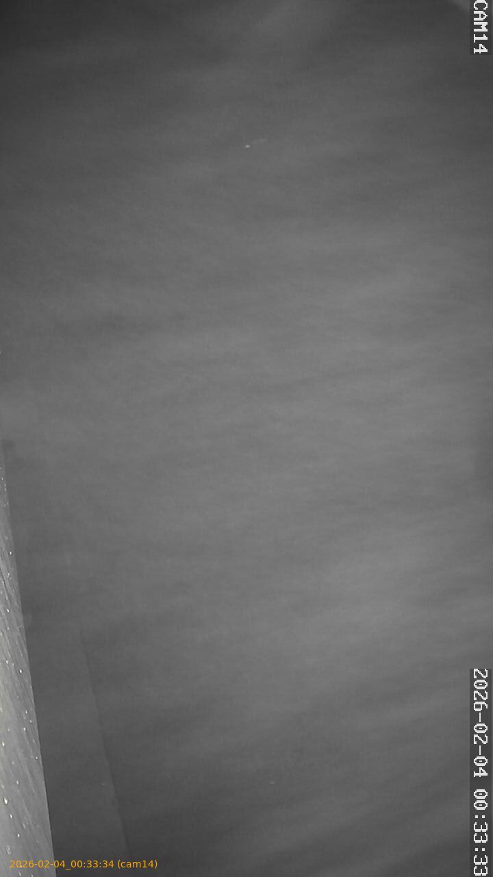 thumbnail_20260204003334