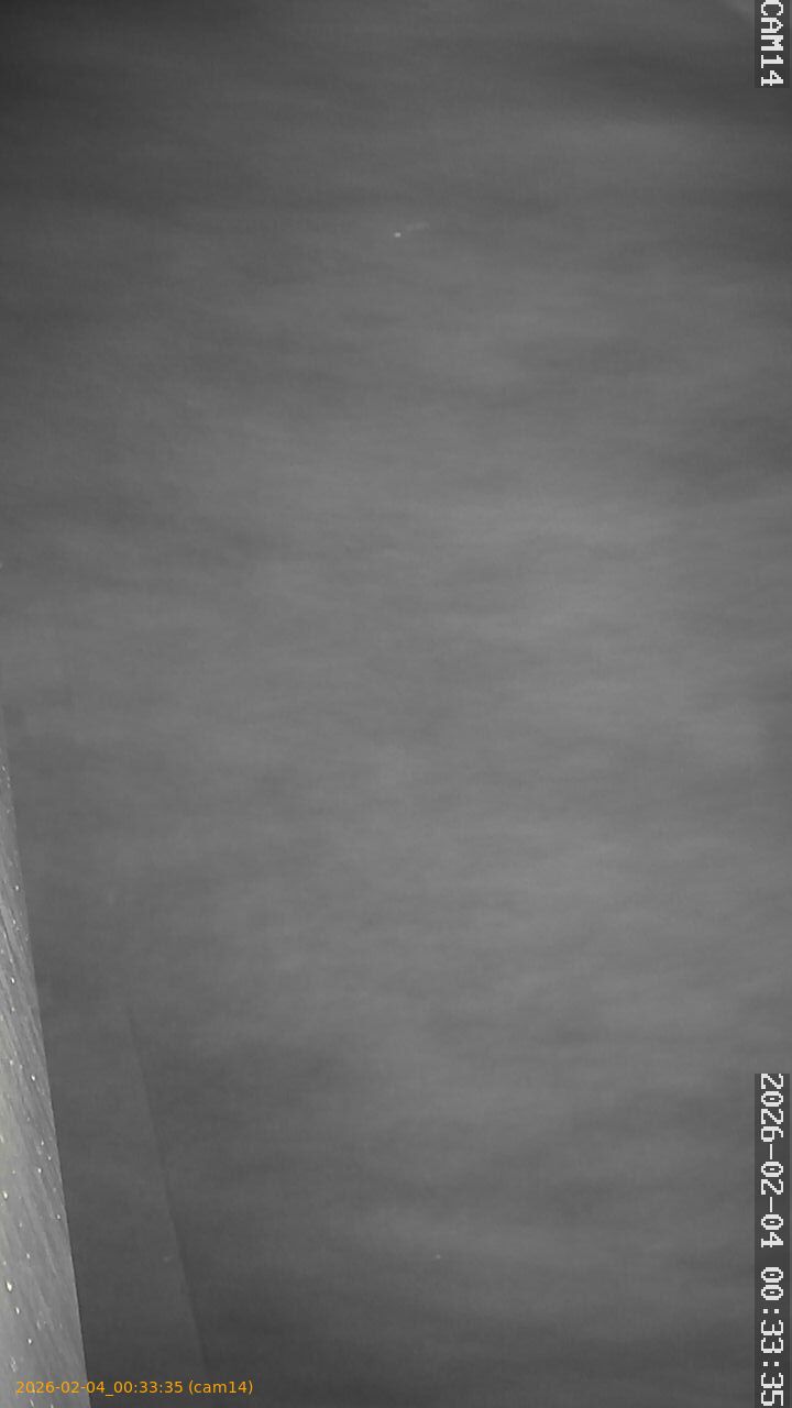 thumbnail_20260204003335