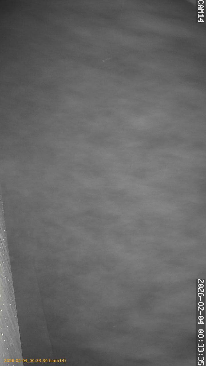 thumbnail_20260204003336