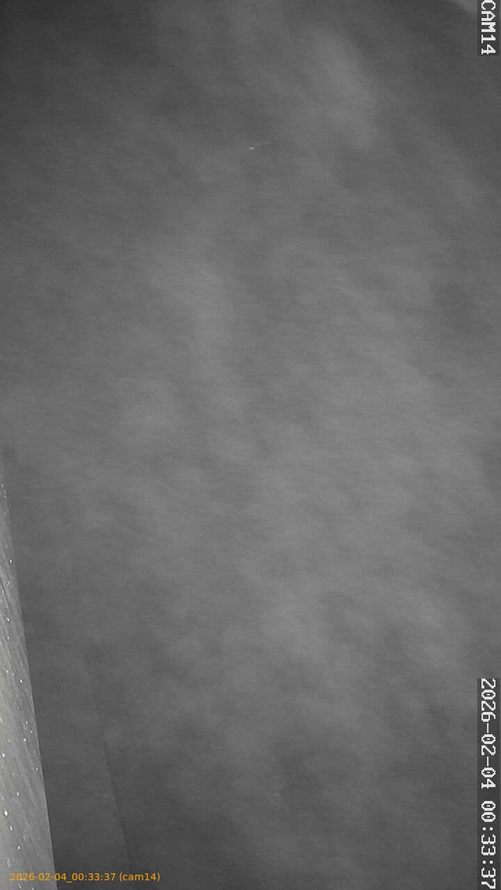 thumbnail_20260204003337