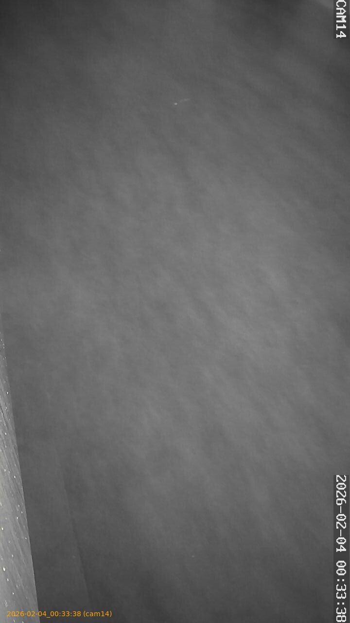 thumbnail_20260204003338