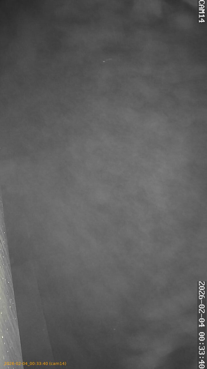 thumbnail_20260204003340