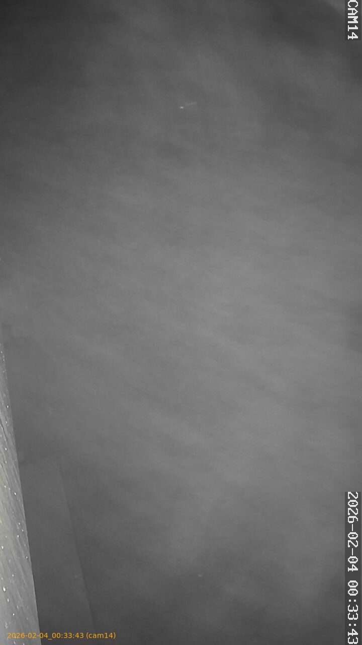 thumbnail_20260204003343