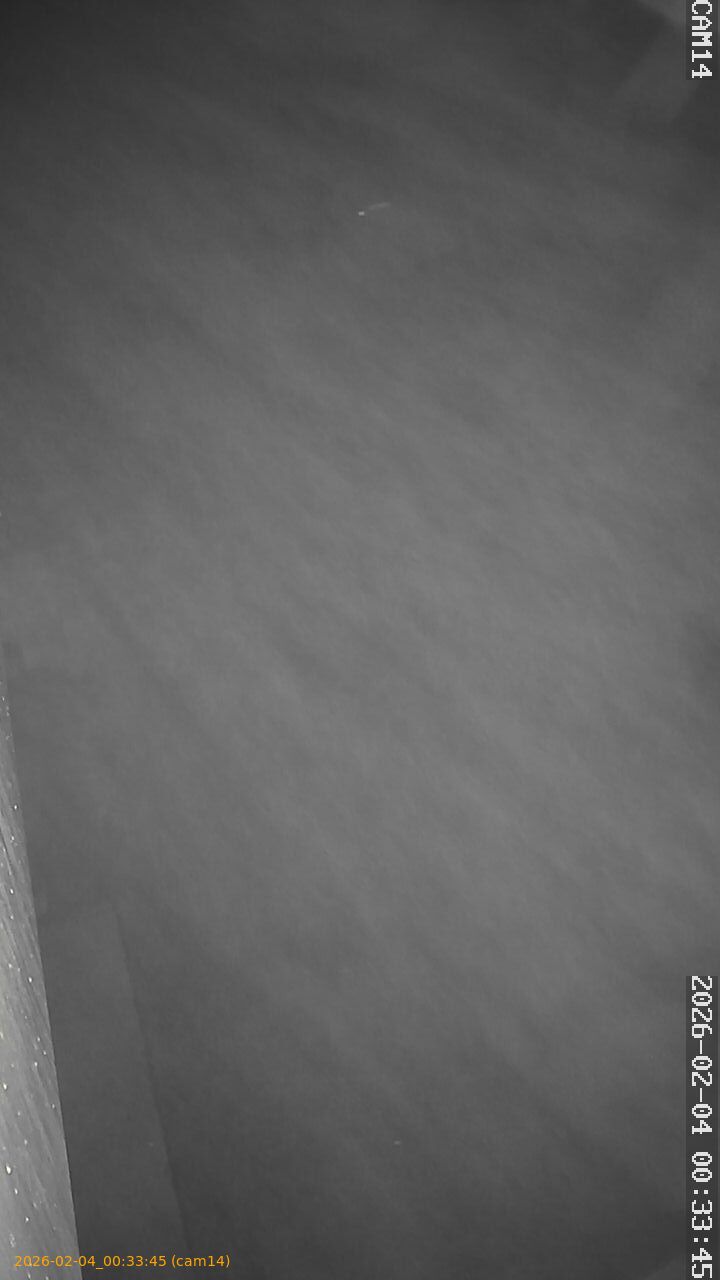 thumbnail_20260204003345