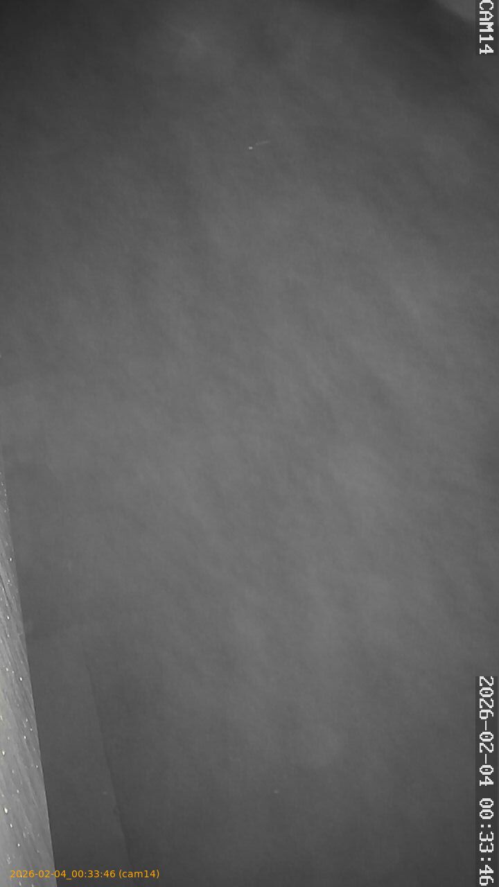 thumbnail_20260204003346