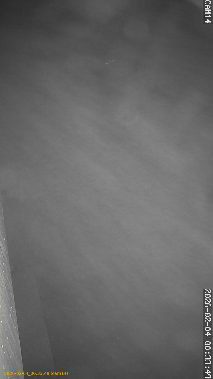 thumbnail_20260204003349