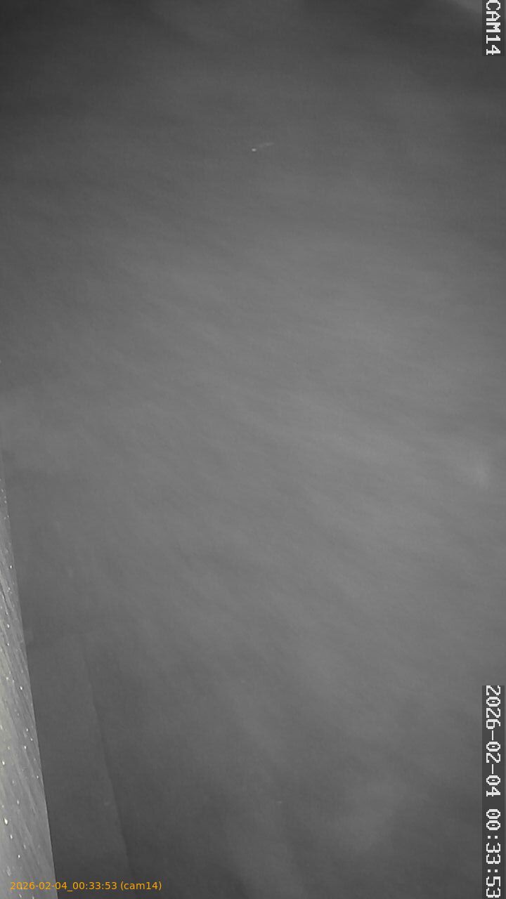 thumbnail_20260204003353