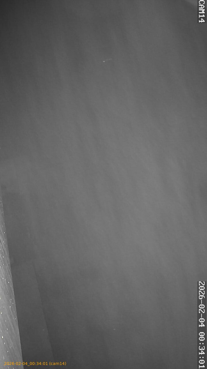 thumbnail_20260204003401