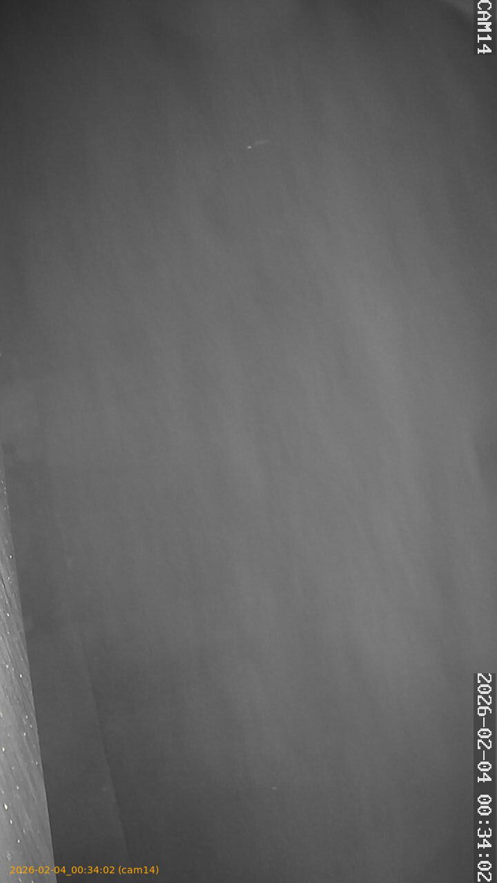 thumbnail_20260204003402