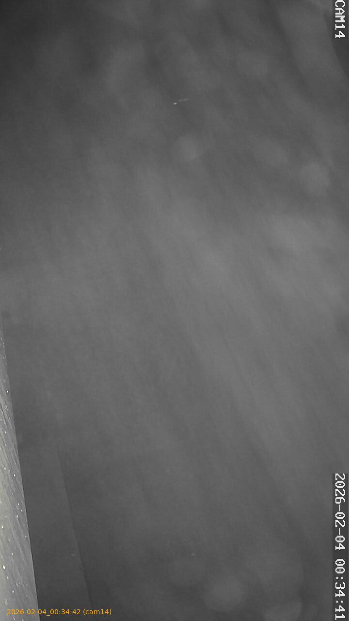 thumbnail_20260204003442