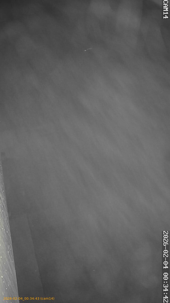 thumbnail_20260204003443