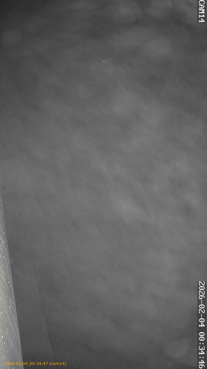 thumbnail_20260204003447