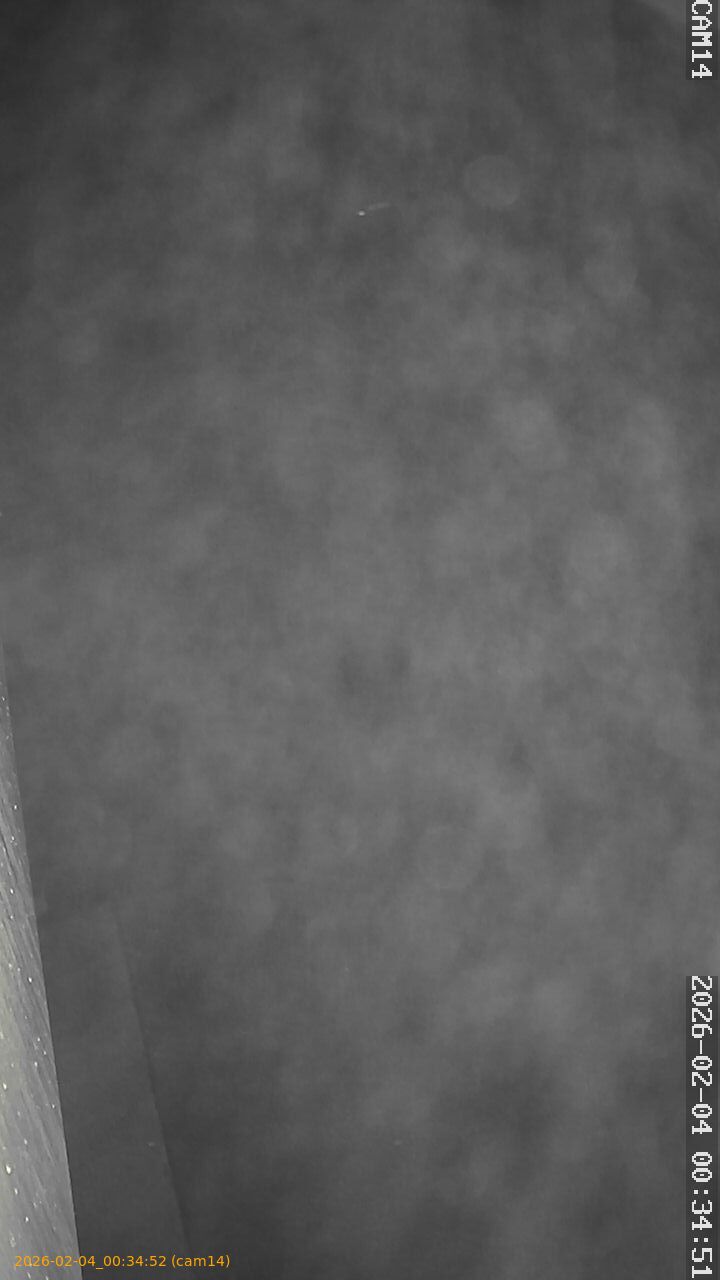 thumbnail_20260204003452