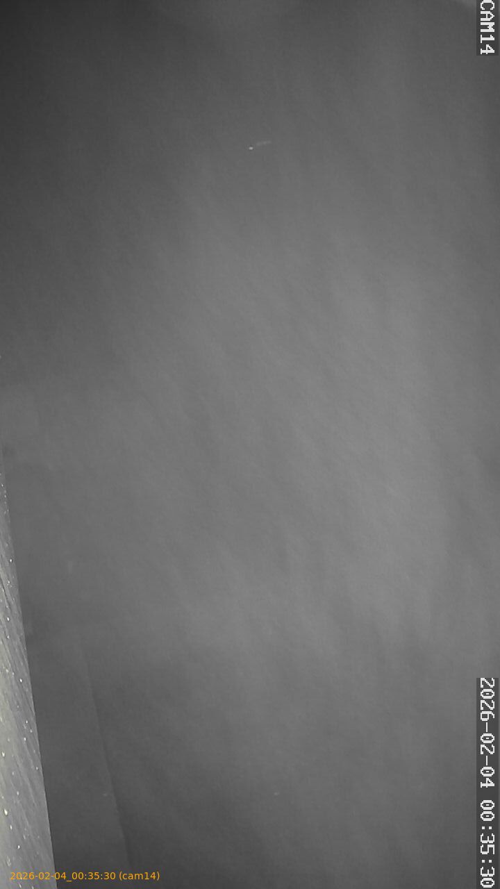 thumbnail_20260204003530