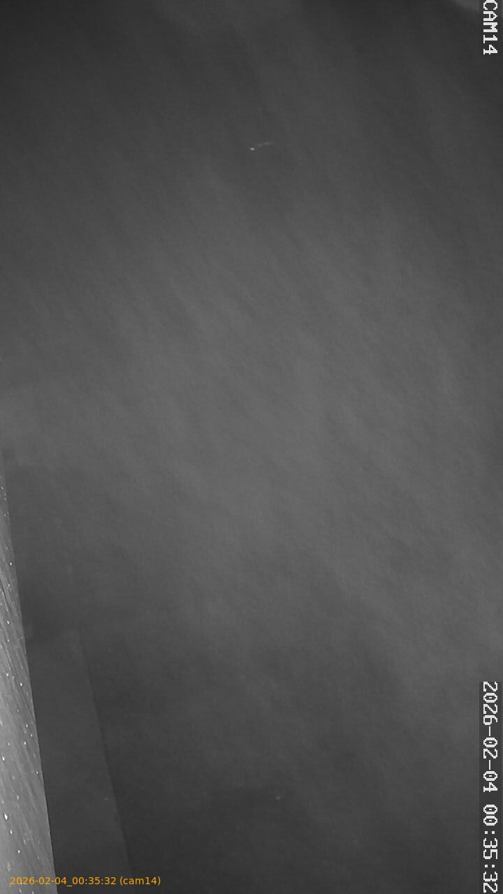 thumbnail_20260204003532