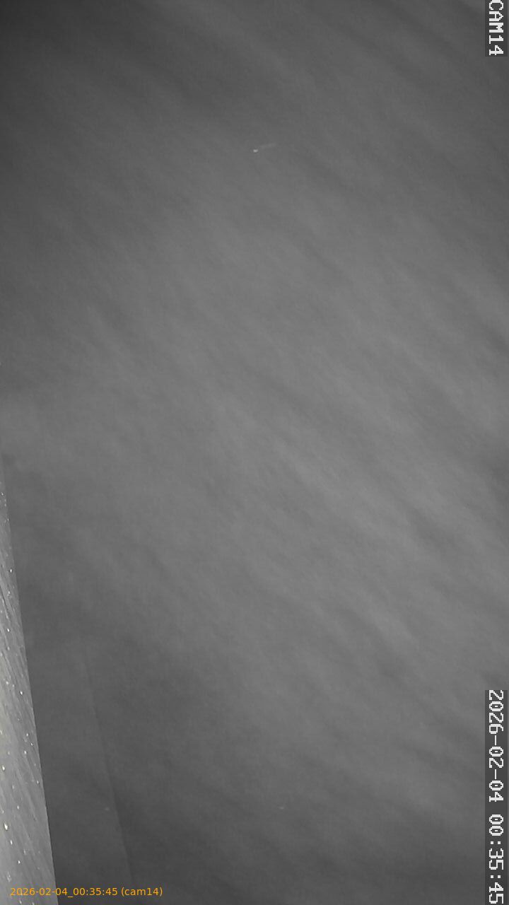 thumbnail_20260204003545