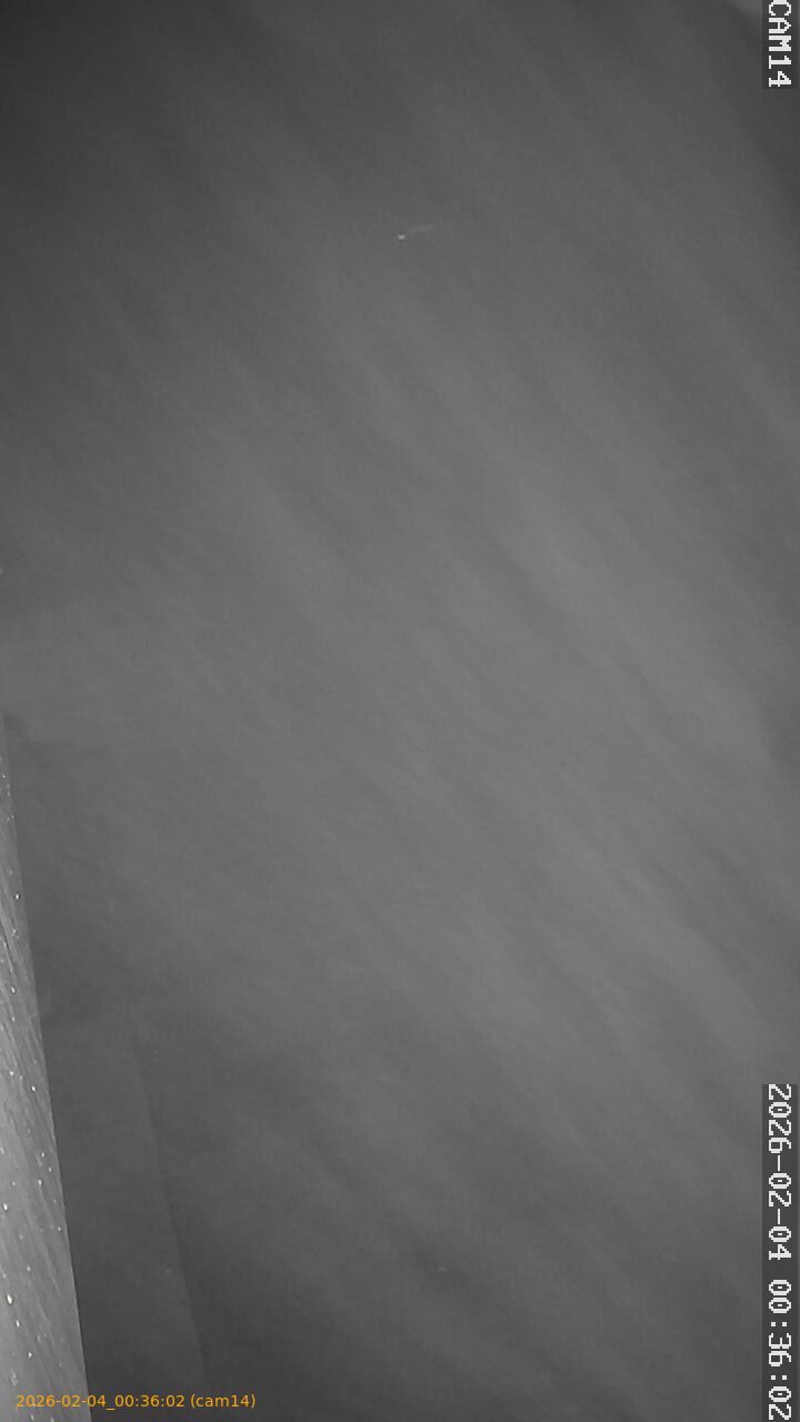 thumbnail_20260204003602