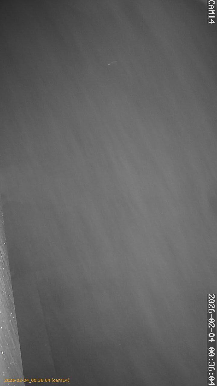 thumbnail_20260204003604