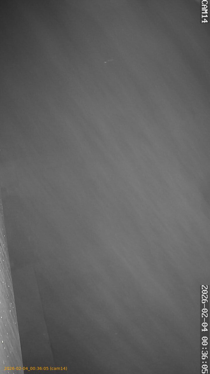 thumbnail_20260204003605