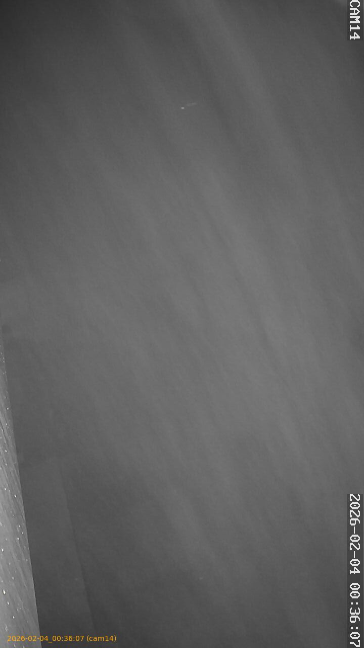 thumbnail_20260204003607