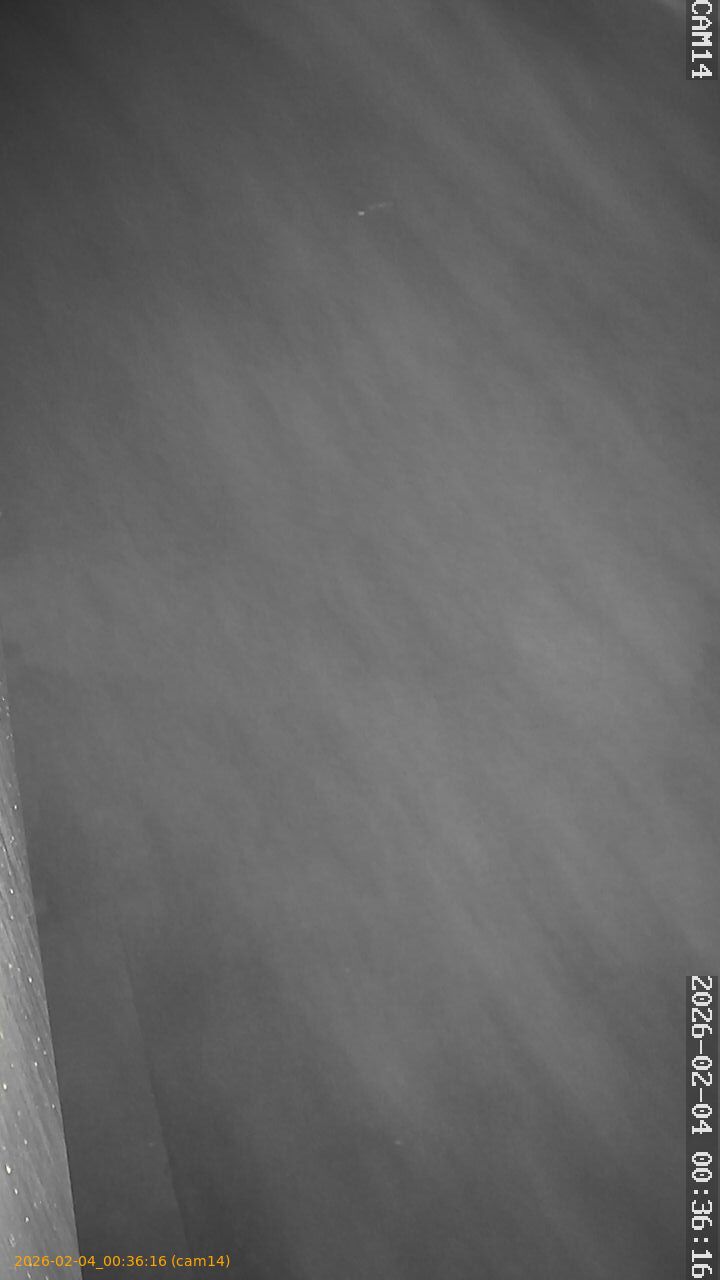 thumbnail_20260204003616