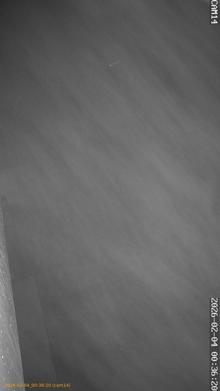 thumbnail_20260204003620