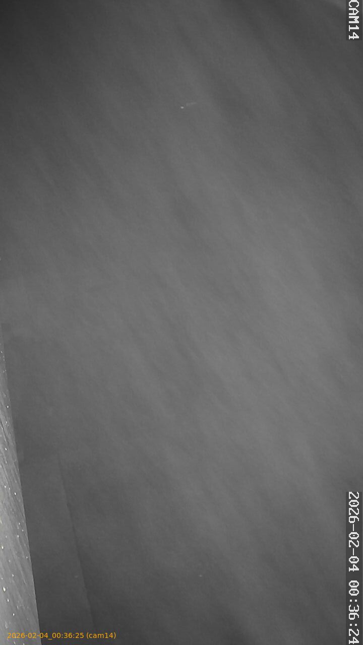 thumbnail_20260204003624