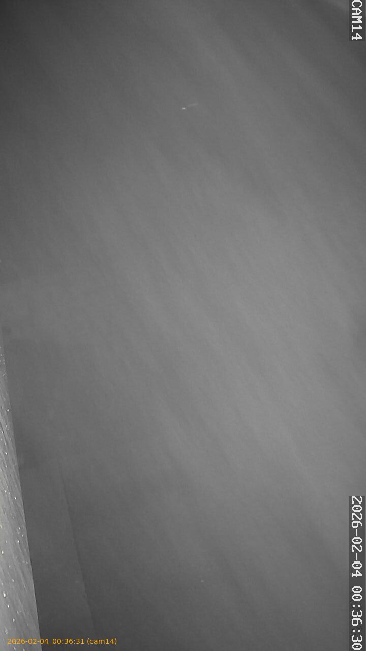 thumbnail_20260204003631