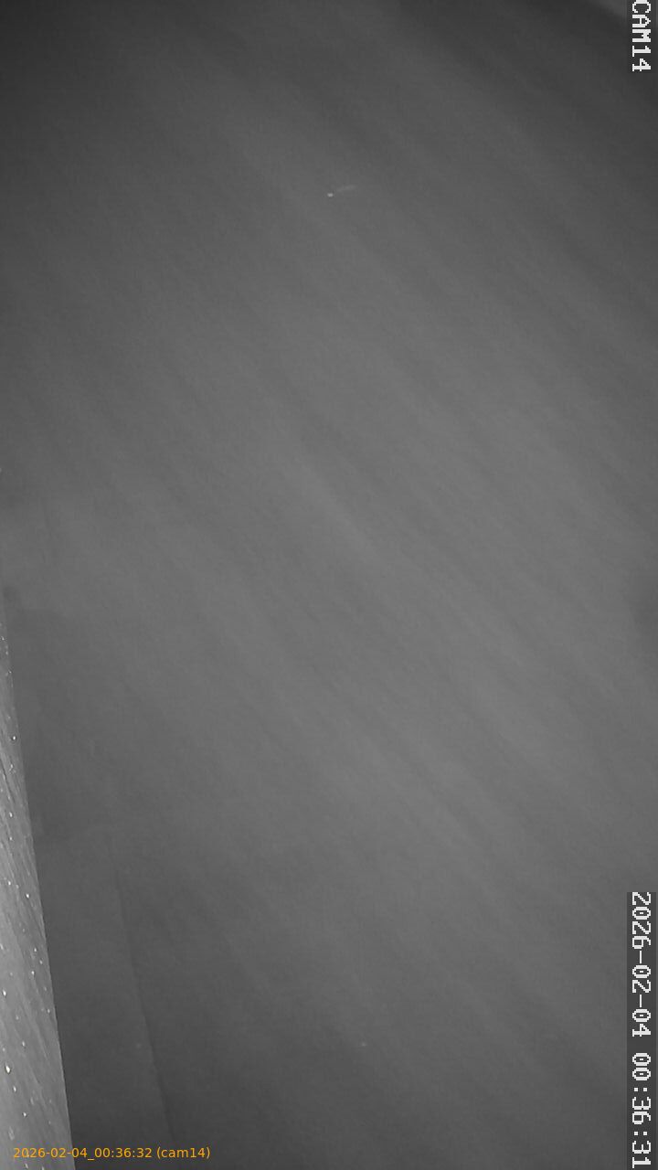 thumbnail_20260204003632