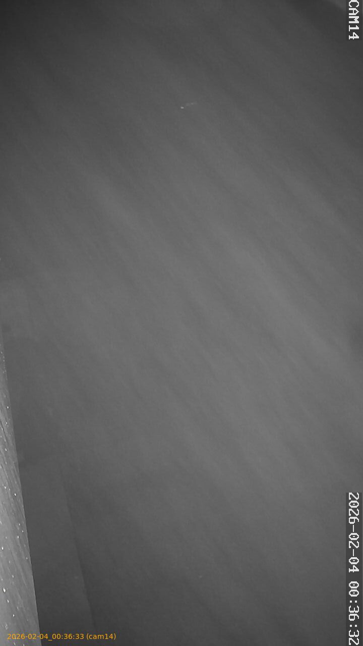 thumbnail_20260204003633