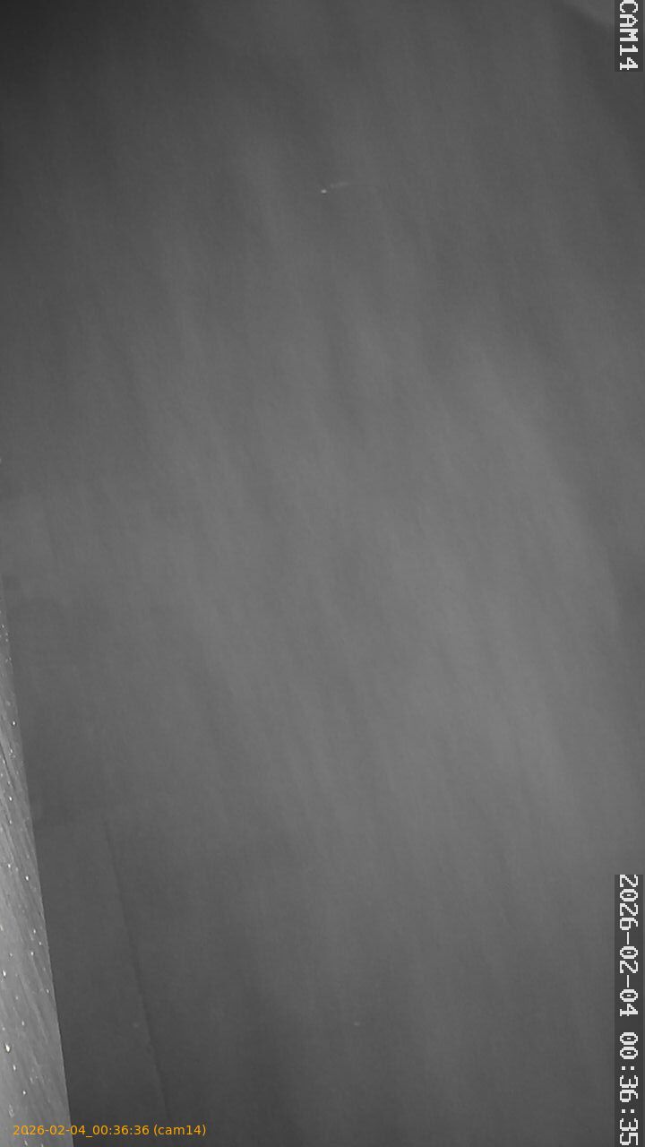 thumbnail_20260204003636