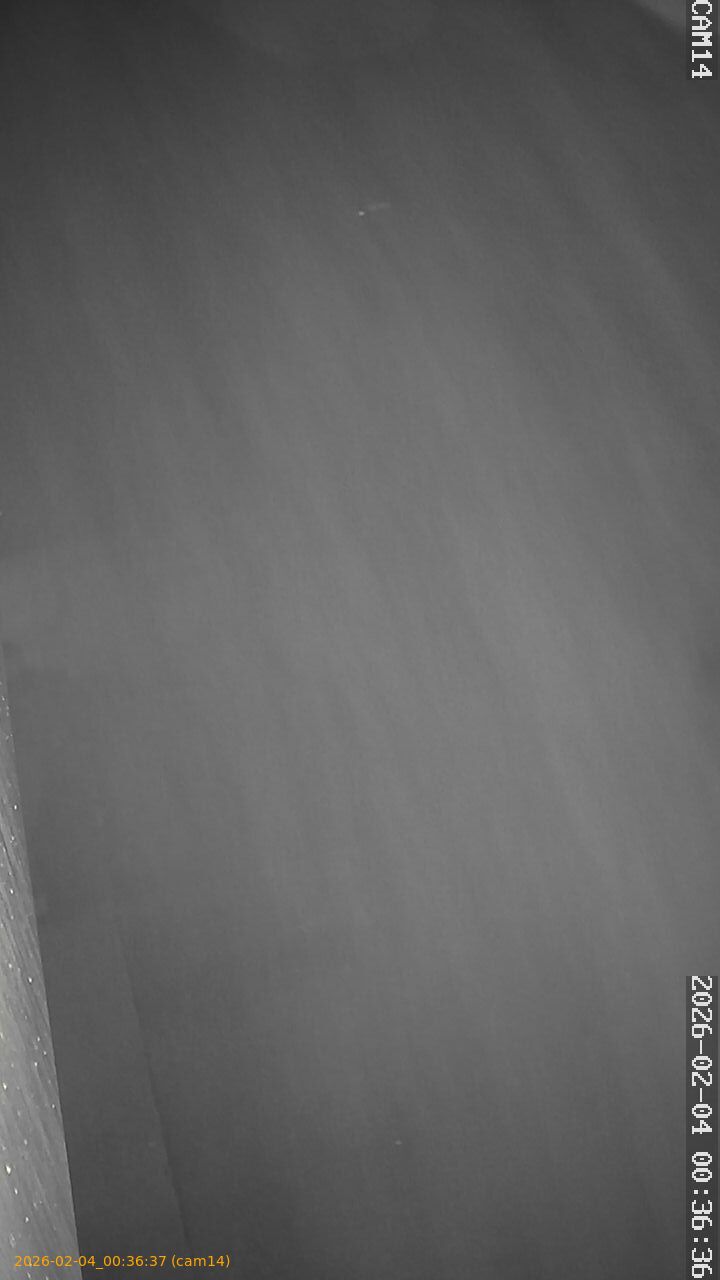 thumbnail_20260204003637