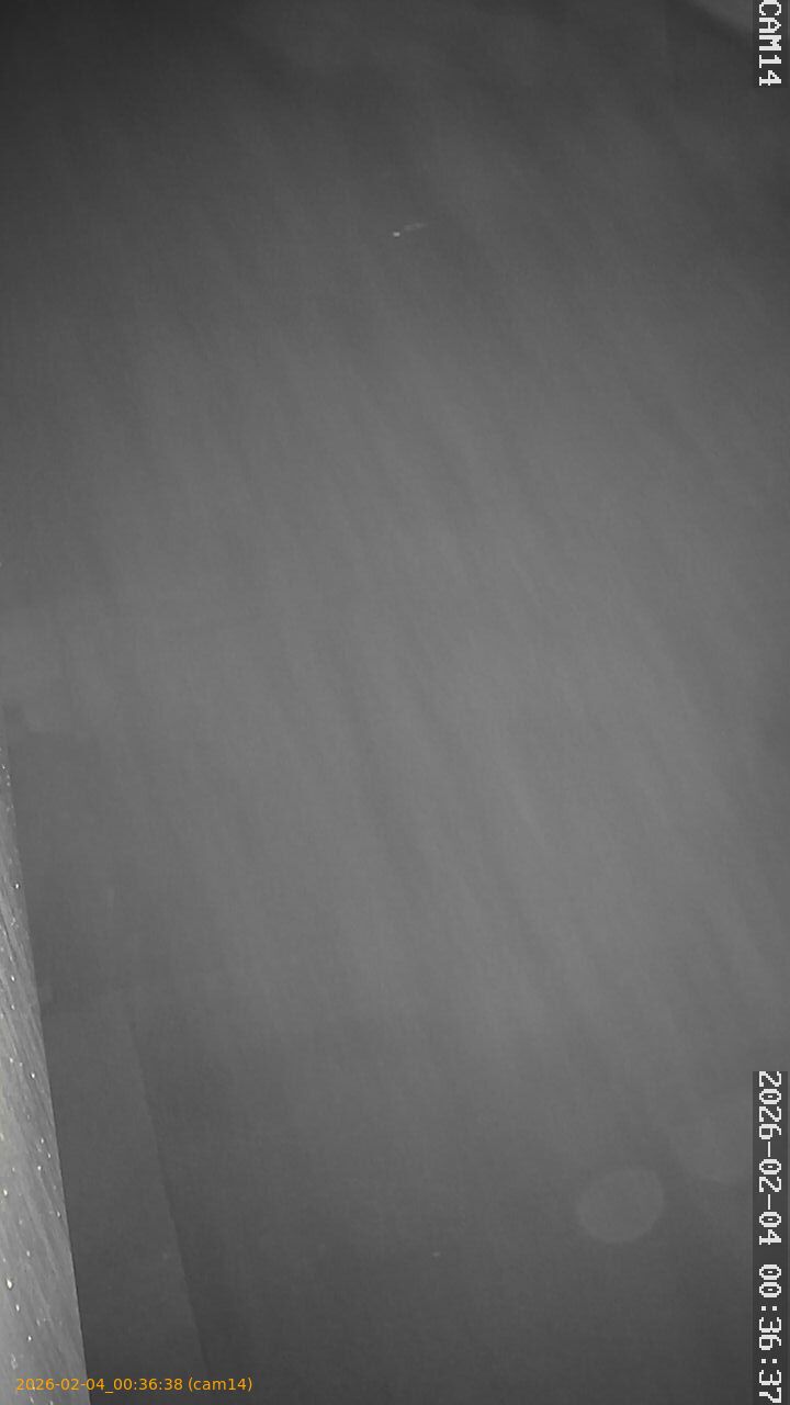 thumbnail_20260204003638