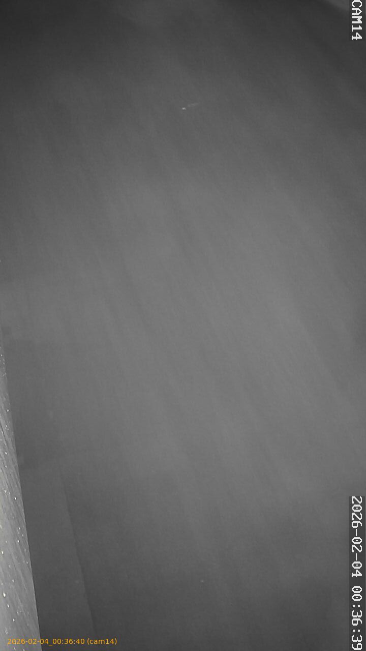 thumbnail_20260204003640