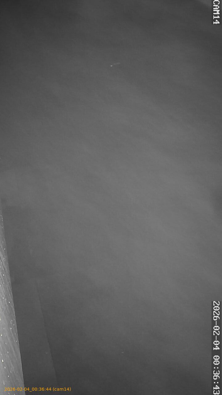 thumbnail_20260204003644