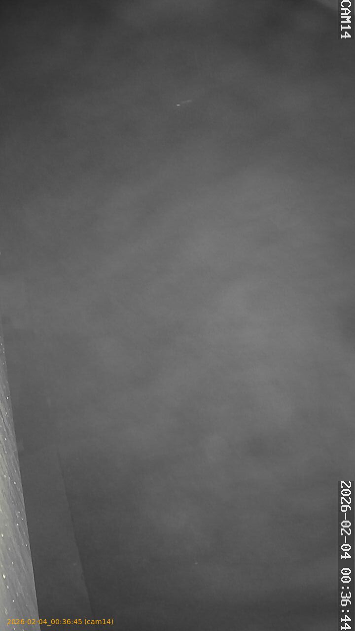 thumbnail_20260204003645