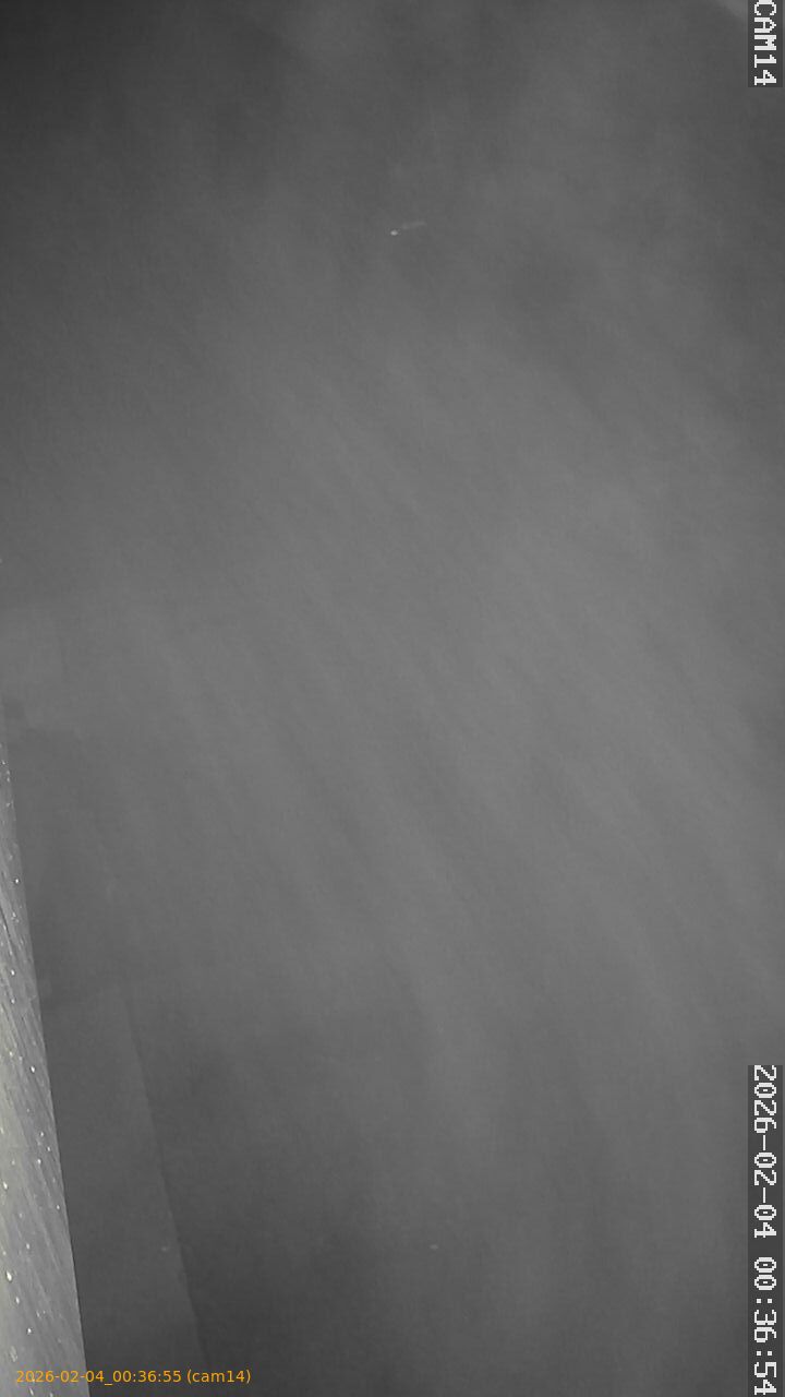 thumbnail_20260204003655