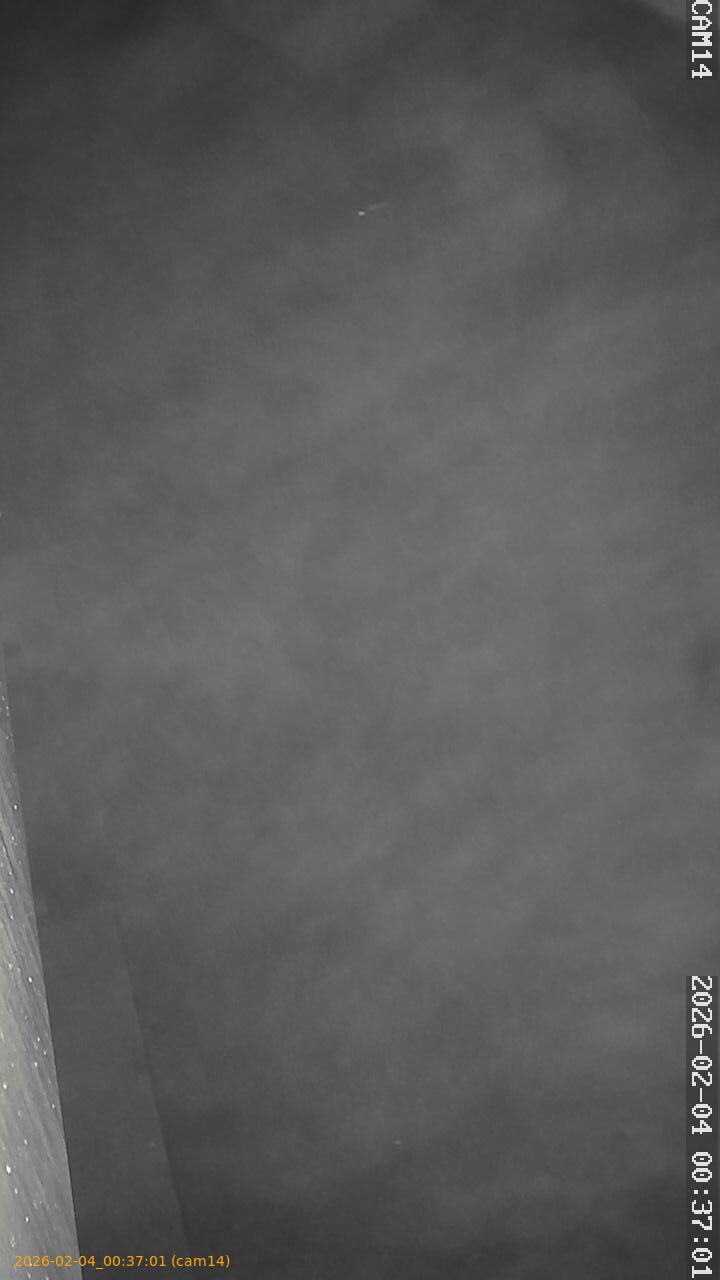 thumbnail_20260204003701