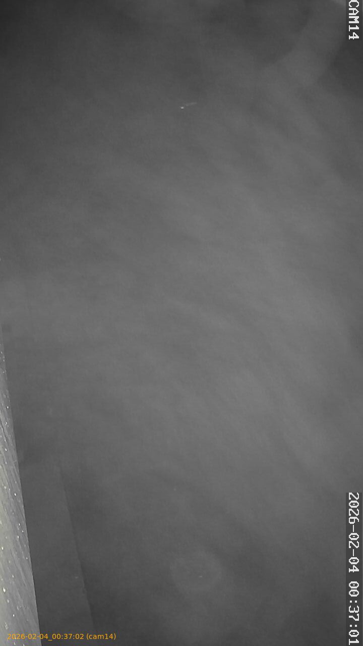 thumbnail_20260204003702