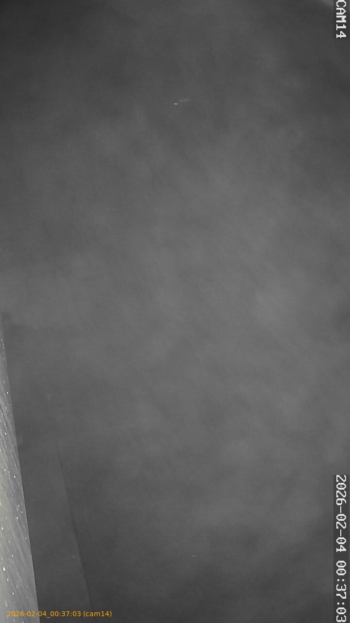 thumbnail_20260204003703